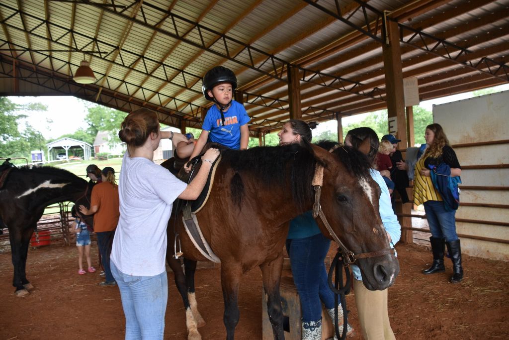 mimosa farm 2019 055 (1024x683).jpg